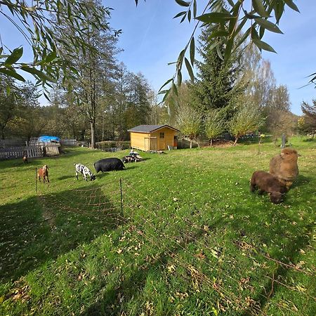 Ferienwohnung Farma U Lesa Hlinsko Exterior foto