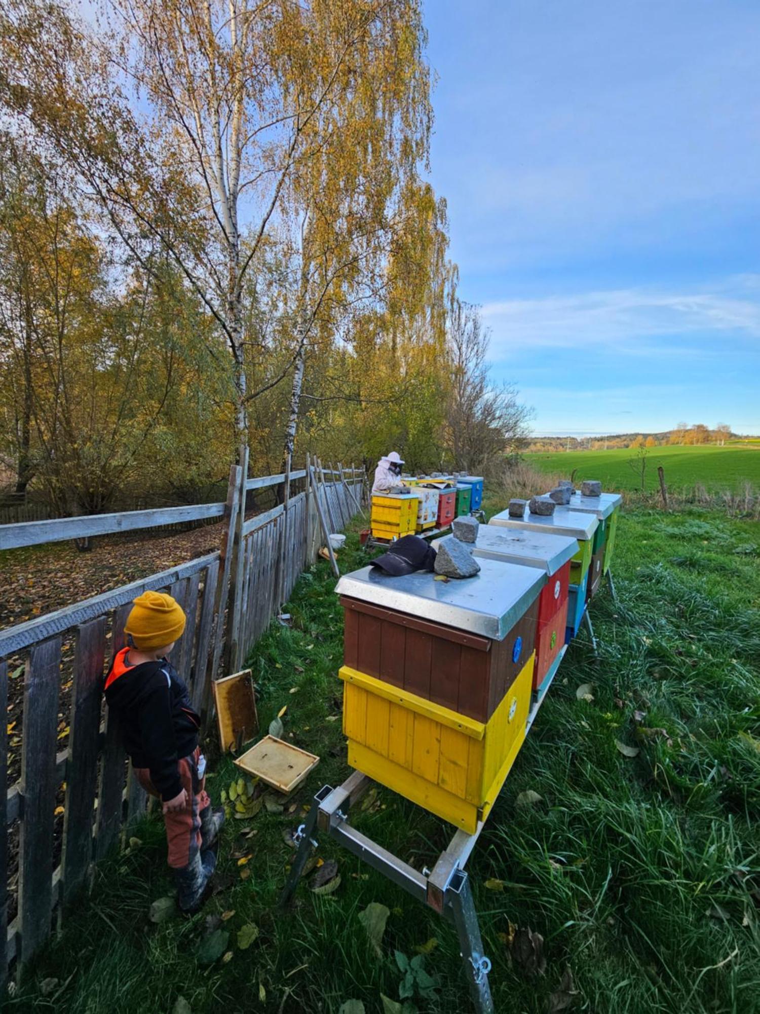 Ferienwohnung Farma U Lesa Hlinsko Exterior foto