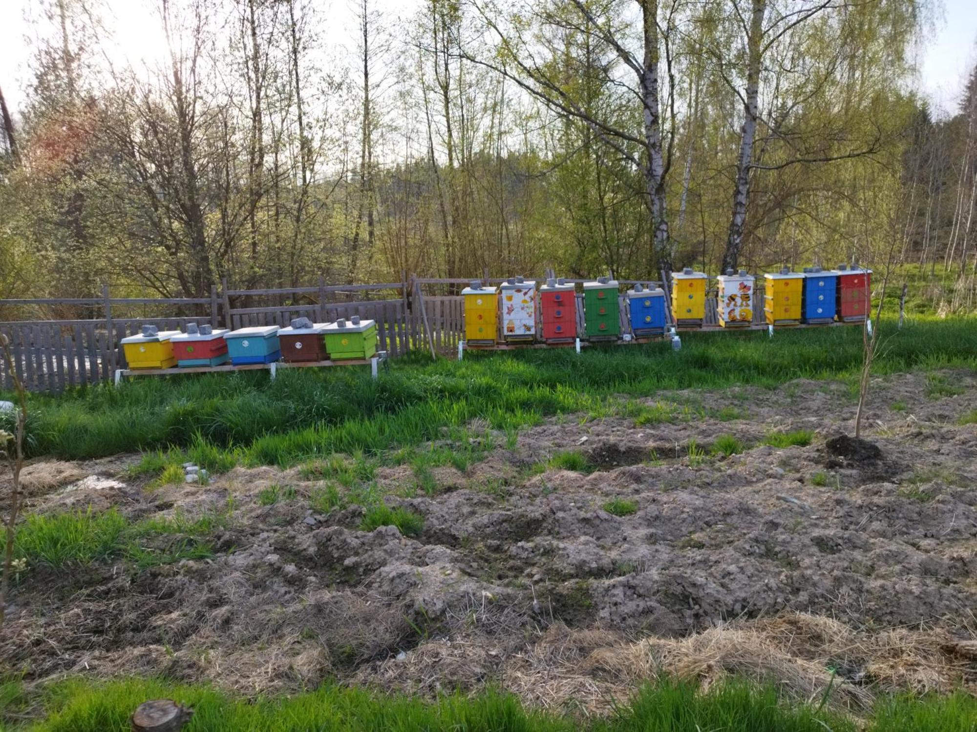 Ferienwohnung Farma U Lesa Hlinsko Exterior foto