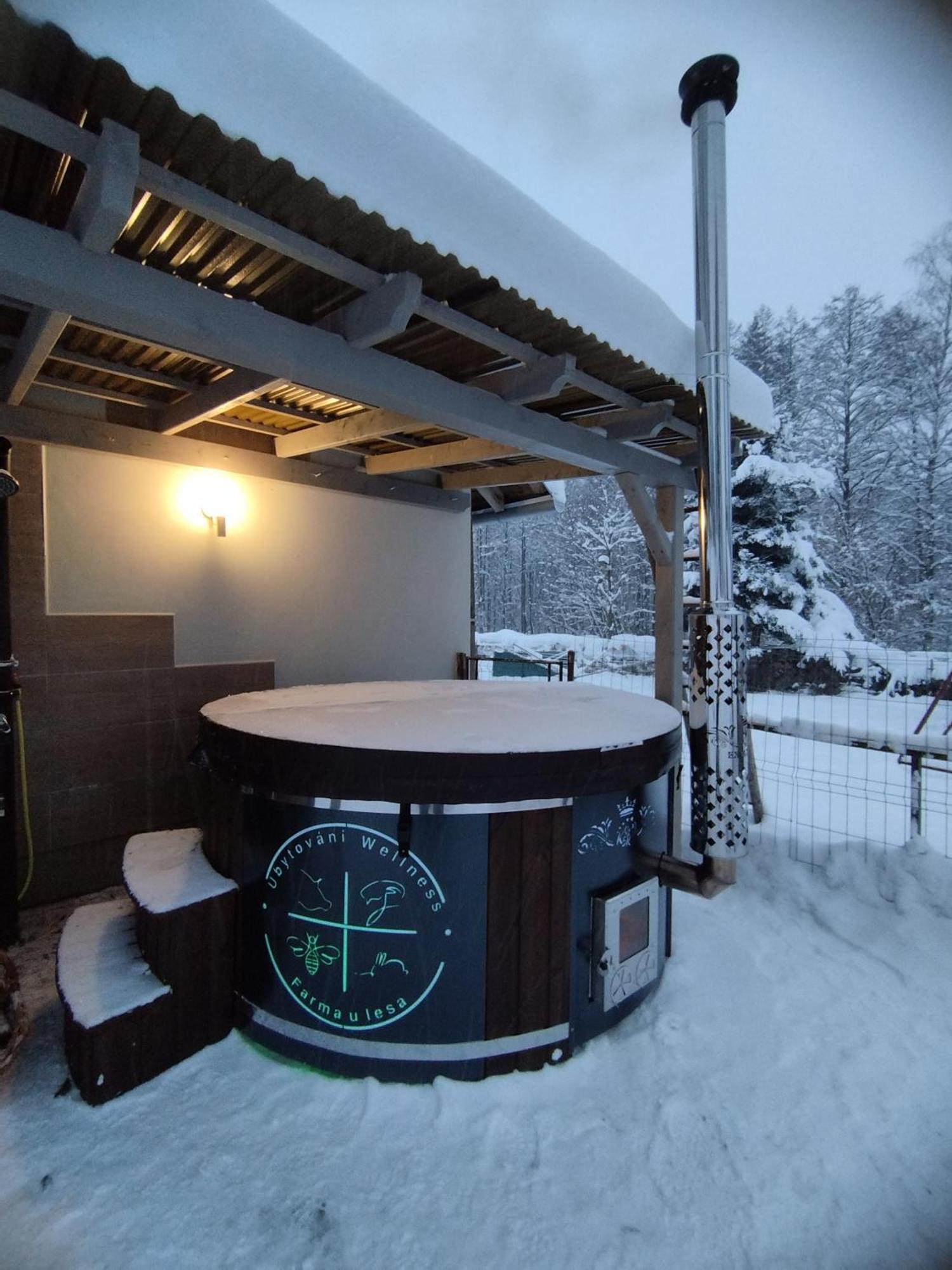 Ferienwohnung Farma U Lesa Hlinsko Exterior foto