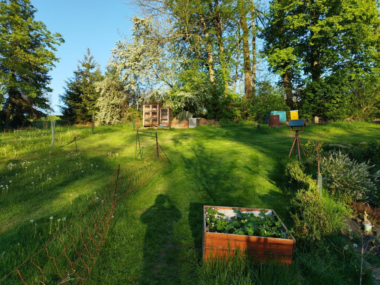 Ferienwohnung Farma U Lesa Hlinsko Exterior foto