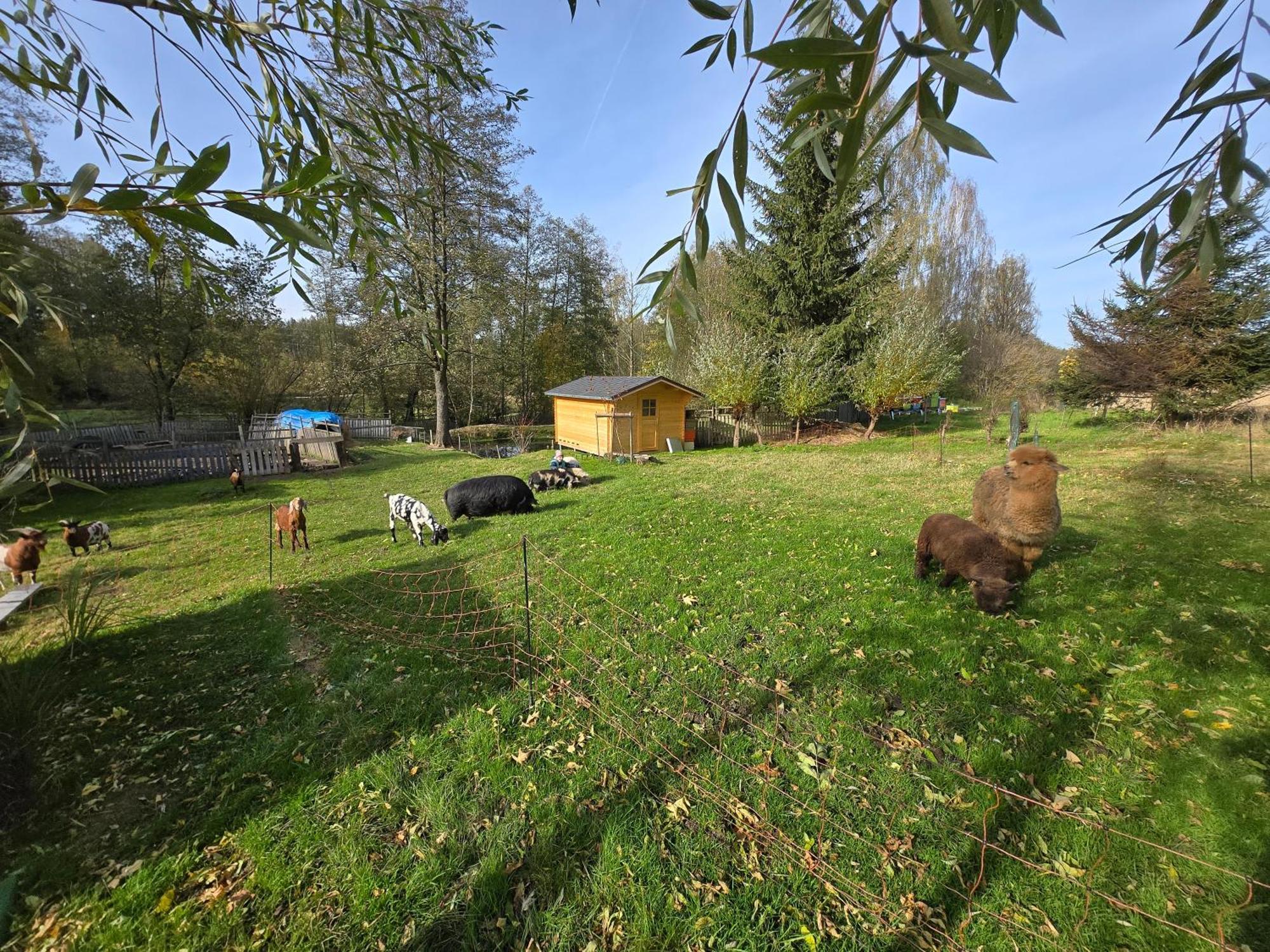 Ferienwohnung Farma U Lesa Hlinsko Exterior foto